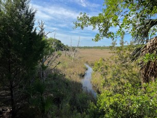 Egans-creek-Fernandina-Amelia-Island-Floride-0969