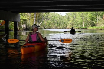 Kayak-Fernandina-Amelia-Island-Floride-2247