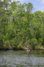 Kayak-Fernandina-Amelia-Island-Floride-2266