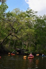 Kayak-Fernandina-Amelia-Island-Floride-2324