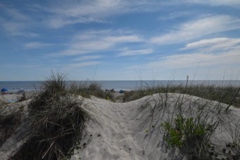 Plage--main-beach-Fernandina-Amelia-Island-Floride-2704