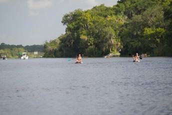 Blue-Spring-State-Park-Floride-4331