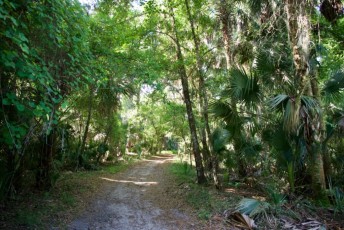 kelly-park-rock-springs-Floride-1120