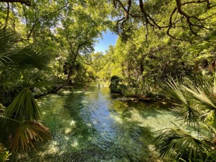 kelly-park-rock-springs-Floride-8588