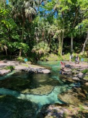 kelly-park-rock-springs-Floride-8597