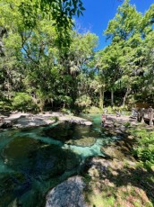 kelly-park-rock-springs-Floride-8601