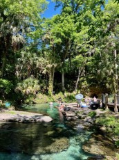 kelly-park-rock-springs-Floride-8611