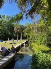 kelly-park-rock-springs-Floride-8699