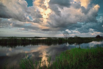 Loxahatchee-National-Wildlife-Refuge-Parkland-8010-b
