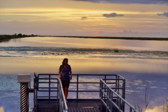 Loxahatchee-National-Wildlife-Refuge-Parkland-8509