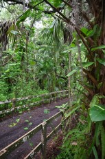long-key-natural-area-davie-parc-floride-5181
