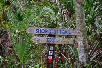 hog-hammock-trail-west-palm-beach-Floride-0752