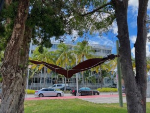 Bass Museum of Art de Miami Beach