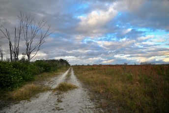 loxahatchee-preserve-Floride-6647