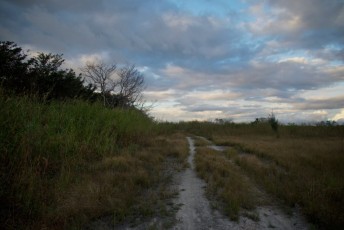 loxahatchee-preserve-Floride-6655