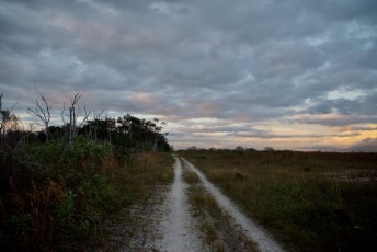 loxahatchee-preserve-Floride-6691