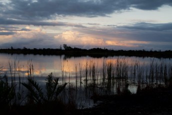 loxahatchee-preserve-Floride-6701