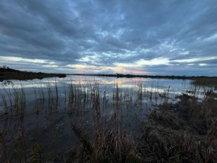 loxahatchee-preserve-Floride-6949