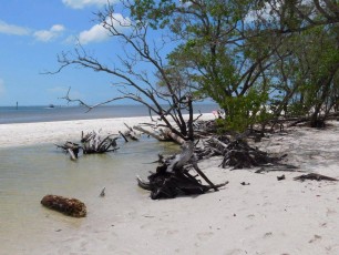Plage de Barefoot Beach à Bonita springs en Floride