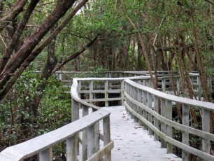 Secret Woods nature Center à Dania Beach