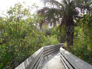 Jardins Botaniques de Naples / Floride
