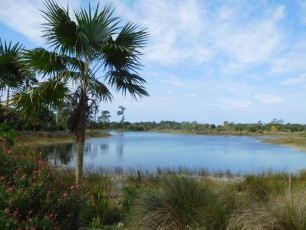 Jardins Botaniques de Naples / Floride