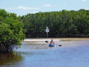 Kayak dans le lagon de Clam Pass Park à Naples en Floride