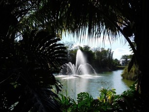 Fruit & Spice Park dans le Redland de Homestead (près de Miami en Floride)