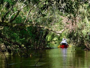 Little-Manatee-River-kayak-canoe-outpost-6929