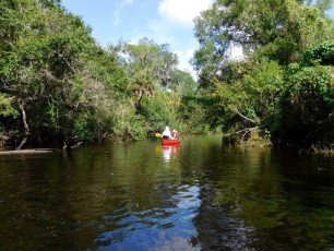 Little-Manatee-River-kayak-canoe-outpost-6951
