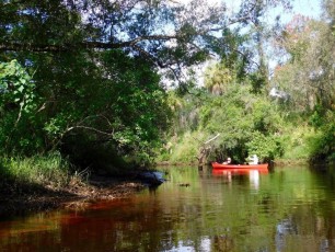 Little-Manatee-River-kayak-canoe-outpost-6954