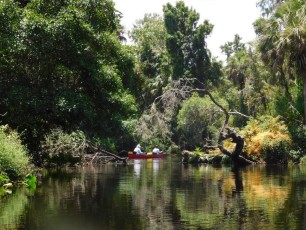 Little-Manatee-River-kayak-canoe-outpost-7067