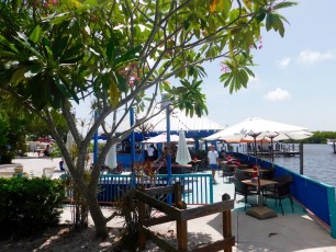 Island-Gypsy-Cafe-Marina-Bar-isle-of-capri-naples-Floride-8439