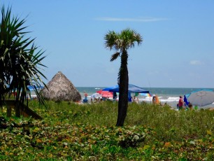 Plage-de-Lowdermilk-beach-park-Naples-Floride-8149