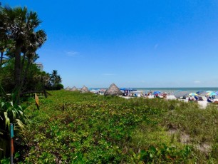 Plage-de-Lowdermilk-beach-park-Naples-Floride-8158