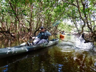 Rookery-Bay-Kayak-Naples-Floride-8360