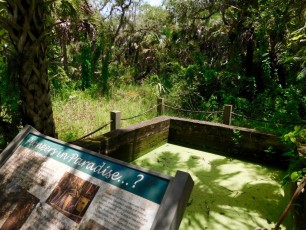 Rookery-Bay-Nature-Center-Naples-Floride-8481