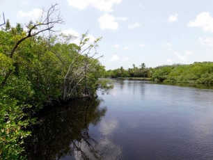 Rookery-Bay-Nature-Center-Naples-Floride-8486