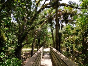 Rookery-Bay-Nature-Center-Naples-Floride-8496