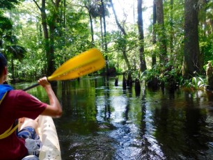 Kayak sur la Loxahatchee River (Floride)