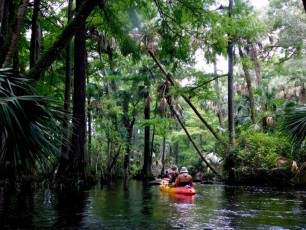 Kayak sur la Loxahatchee River (Floride)