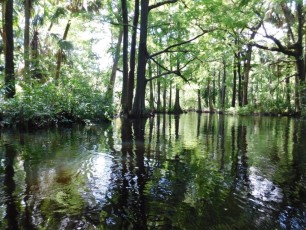 La Loxahatchee River (Floride)