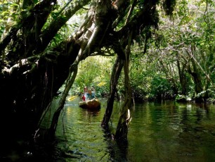 La Loxahatchee River (Floride)
