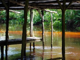 Propriété du "Trappeur Nelson" sur la Loxahatchee River (Floride)