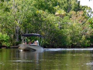 Bateau sur la Loxahatchee River (Floride)