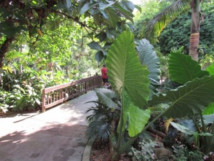 Flamingo-Gardens-Jardins-botaniques-Davie-Floride-1244