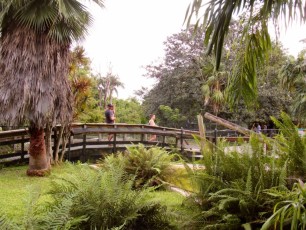 Flamingo-Gardens-Jardins-botaniques-Davie-Floride-1323