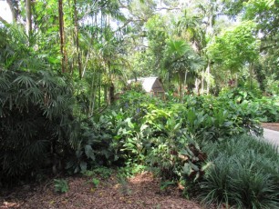 Flamingo-Gardens-Jardins-botaniques-Davie-Floride-1377