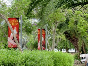 Flamingo-Gardens-Jardins-botaniques-Davie-Floride-1556