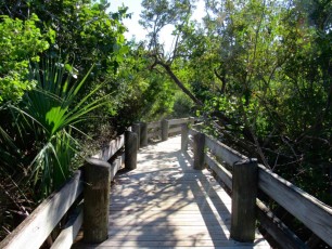Parc et plage du Johnson State Park de Dania Beach, en Floride